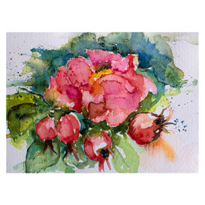 BozenaKot, "Dzika Róża" 14x19cm, 2023, akwarela